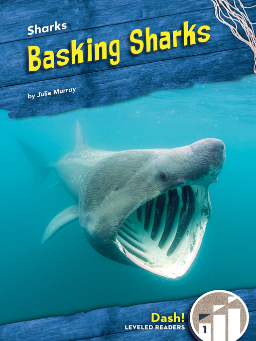 Cover image for Basking Sharks